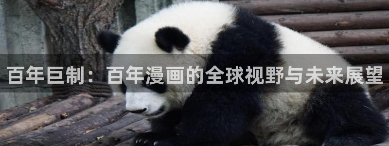 刺客守则动漫免费观看歪歪动漫：